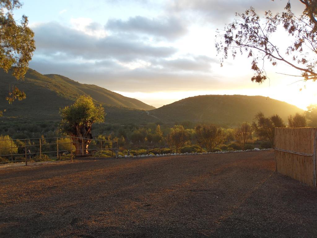 Orchard Cottage McGregor Bagian luar foto