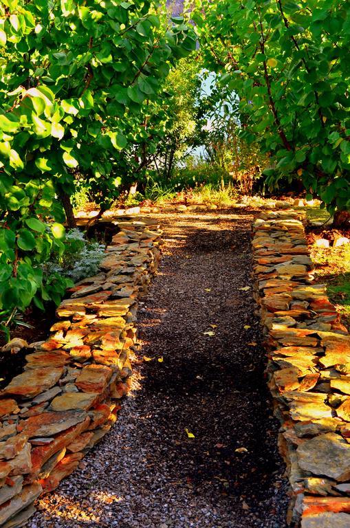 Orchard Cottage McGregor Bagian luar foto