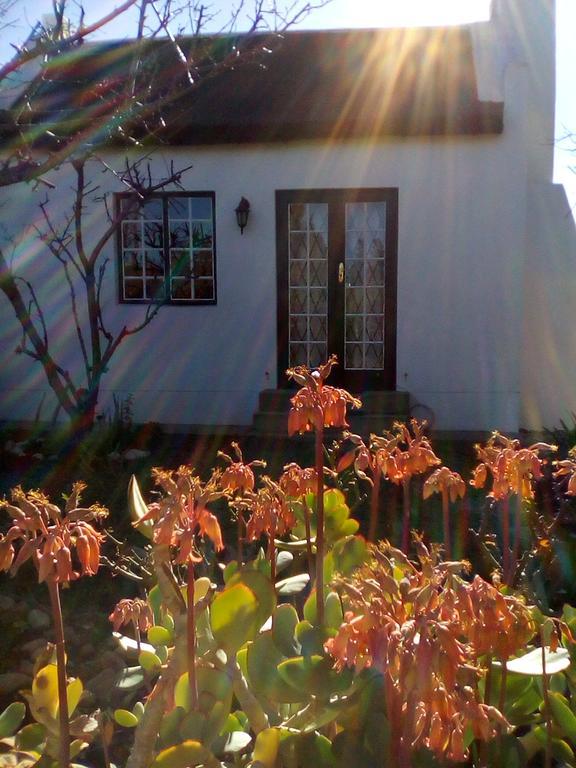 Orchard Cottage McGregor Bagian luar foto